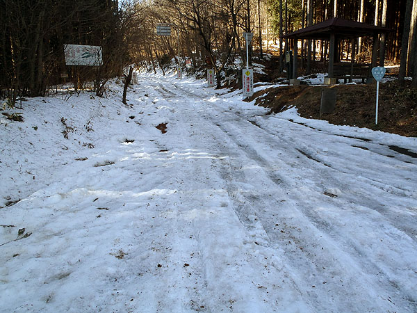 手強そうな氷結路